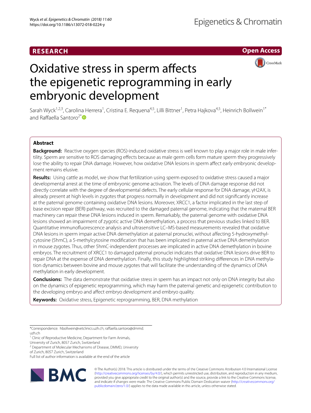 Oxidative Stress in Sperm Affects the Epigenetic Reprogramming in Early