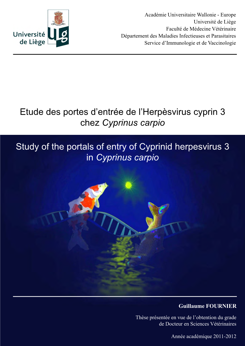 Cyprinus Carpio