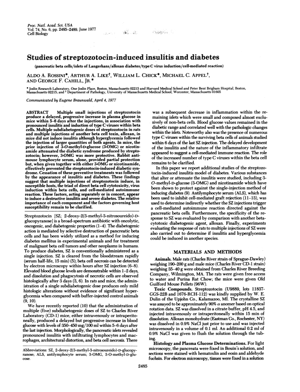 Studies of Streptozotocin-Induced Insulitis and Diabetes