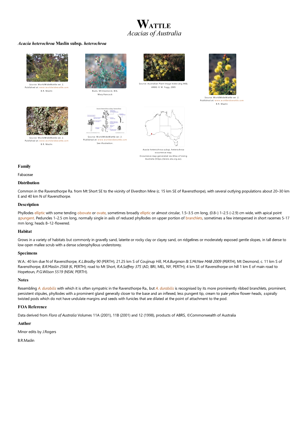 Acacia Heterochroa Subsp. Heterochroa Occurrence Map