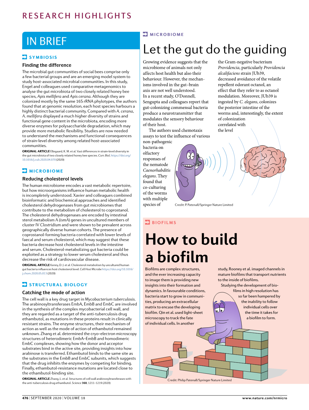 How to Build a Biofilm