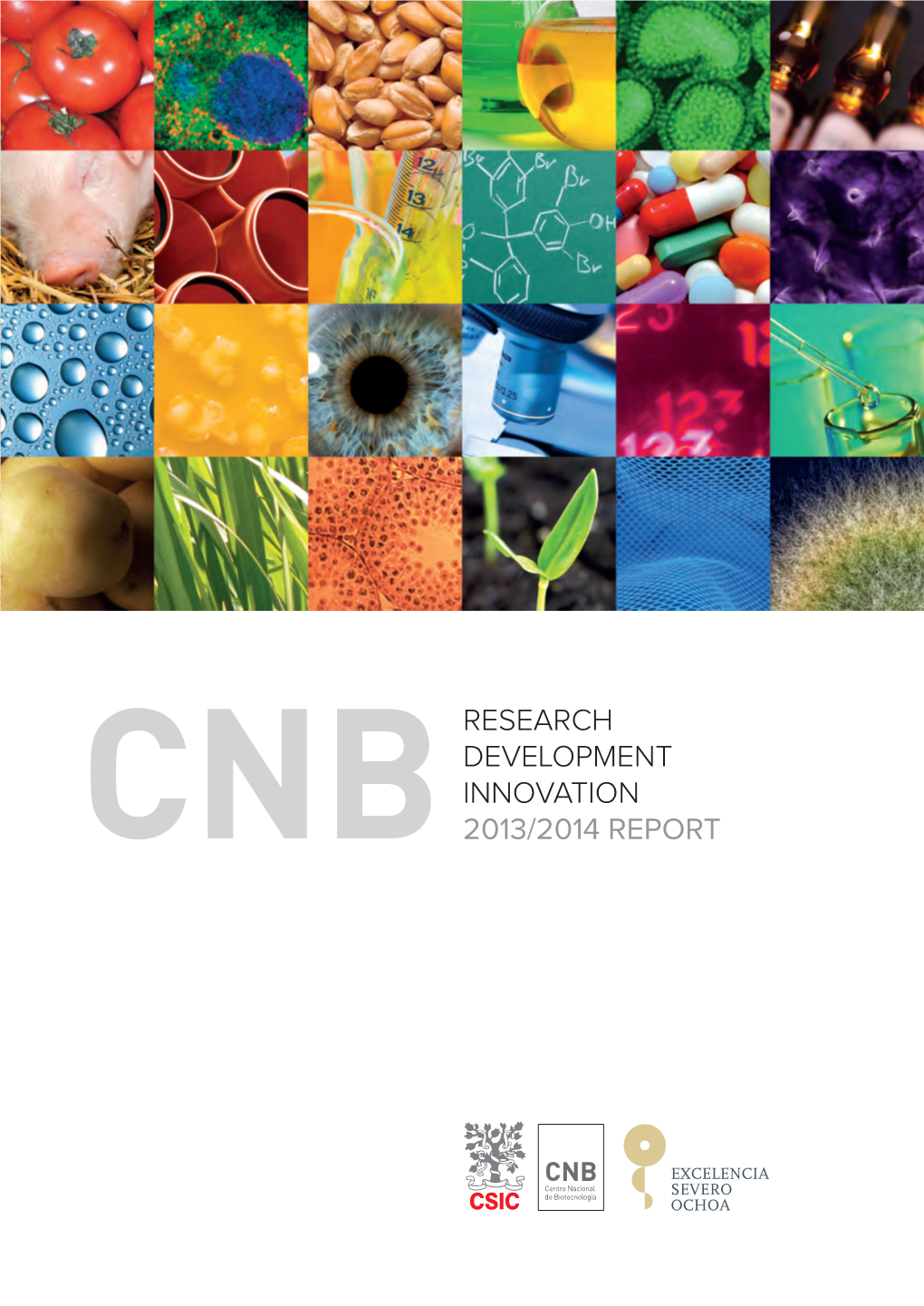 Research Development Innovation 2013/2014 Report