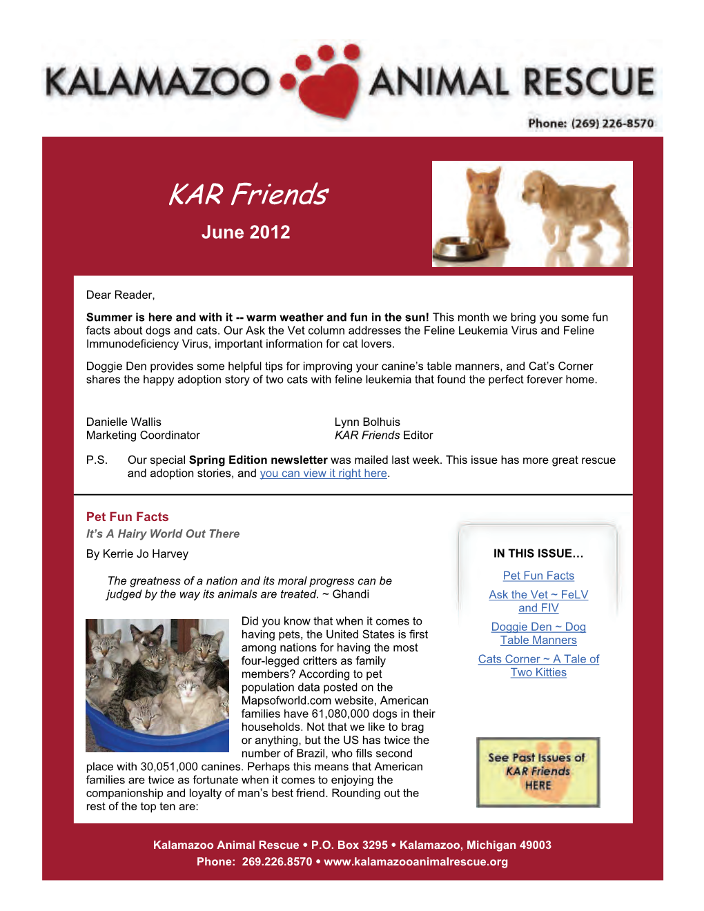 Feline Leukemia Virus and Feline Immunodeficiency Virus, Important Information for Cat Lovers