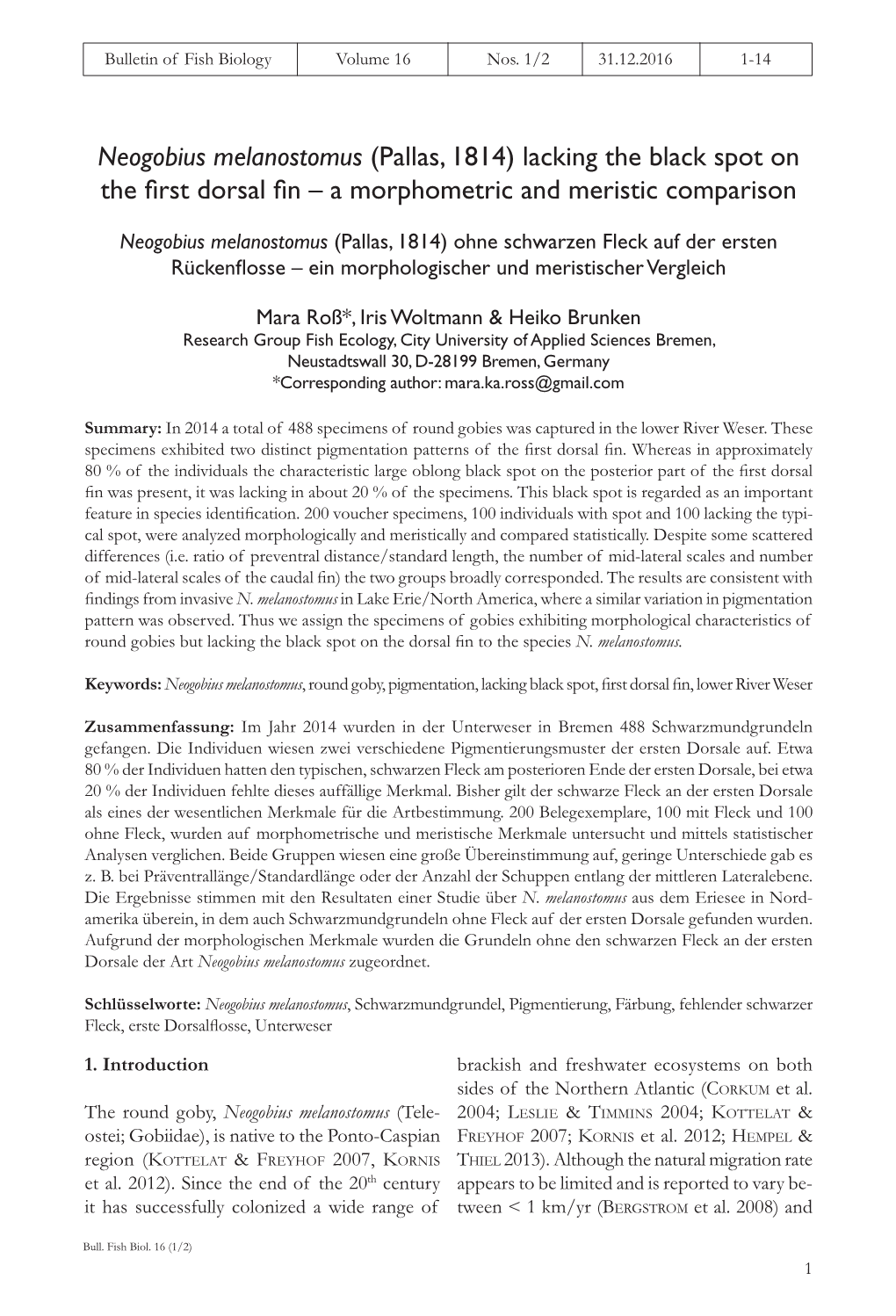 Neogobius Melanostomus (Pallas, 1814) Lacking the Black Spot on the ﬁ Rst Dorsal ﬁ N – a Morphometric and Meristic Comparison