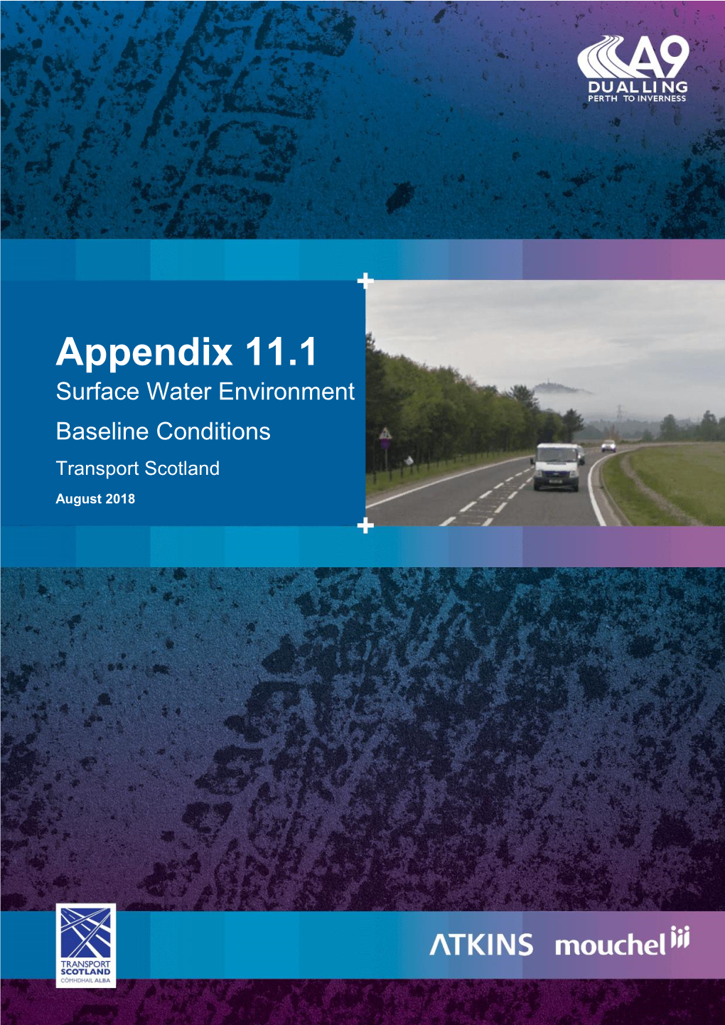 Appendix 11.1 Surface Water Environment Baseline Conditions Transport Scotland