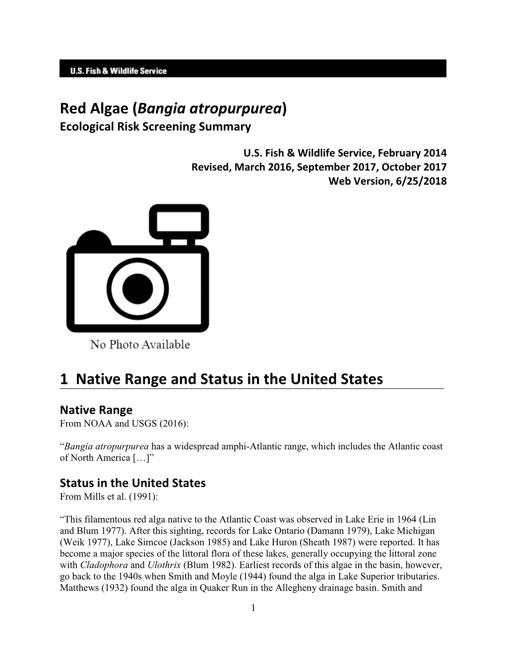 Red Algae (Bangia Atropurpurea) Ecological Risk Screening Summary