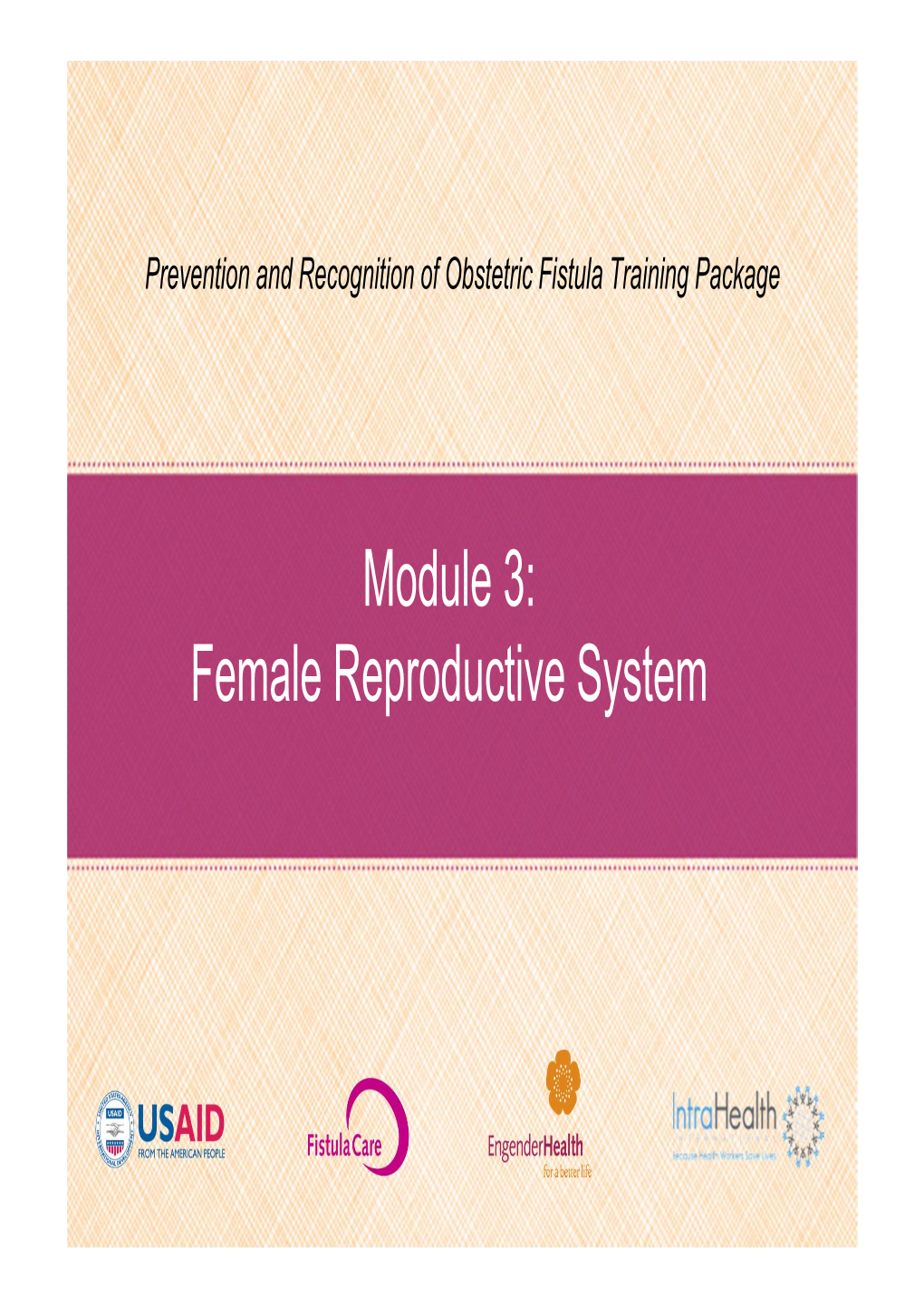 Female Reproductive System External Female Reproductive Organs Internal Female Reproductive Organs Menstrual Cycle