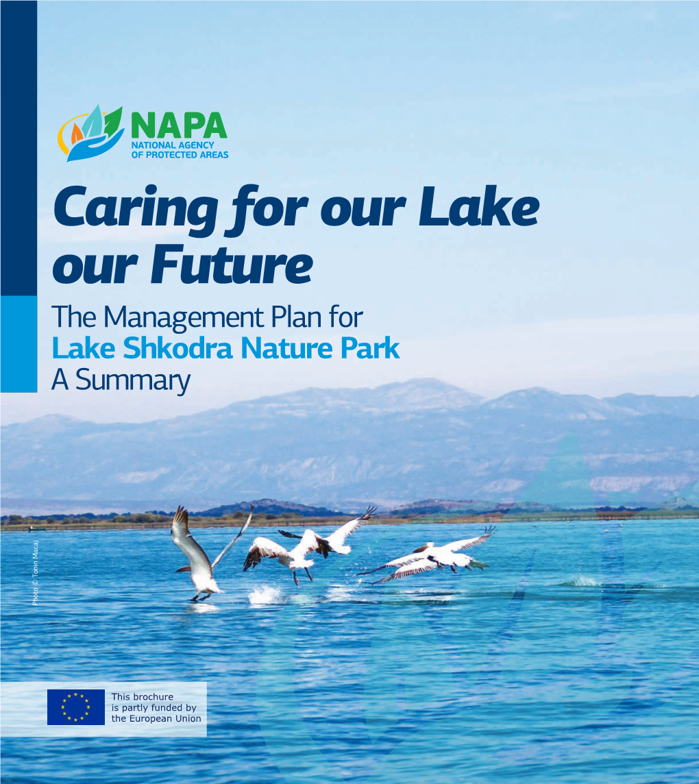 Caring for Our Lake Our Future the Management Plan for Lake Shkodra Nature Park a Summary Photo © Tonin Macaj Photo © Tonin