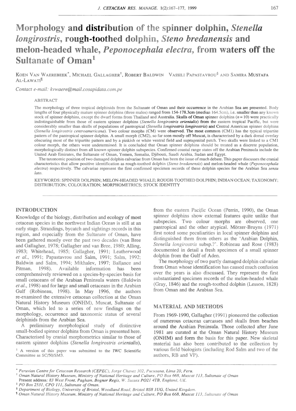 Morphology and Distribution of the Spinner Dolphin, Stenella