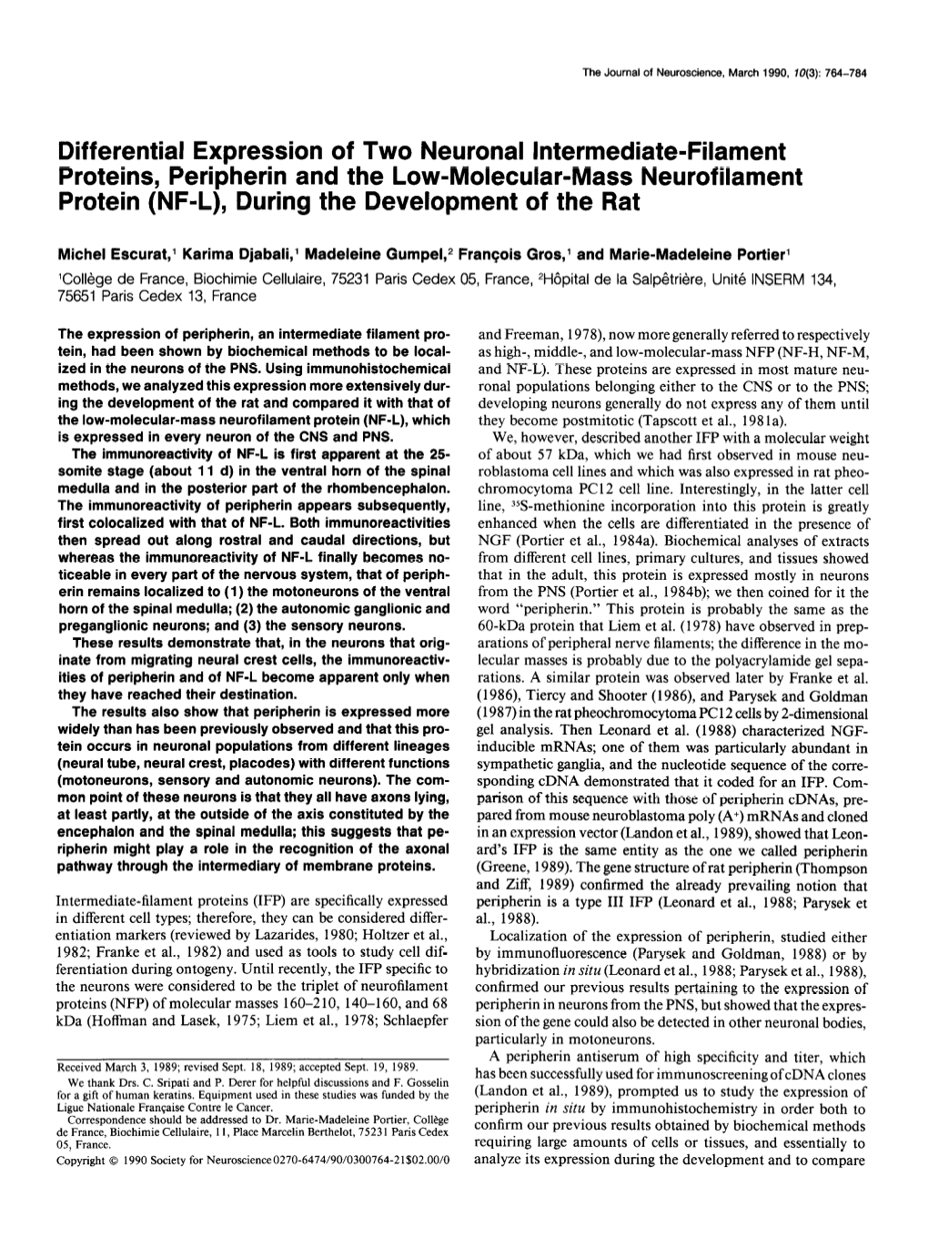 Differential Expression of Two Neuronal Intermediate-Filament Proteins, Peripherin and the Low-Molecular-Mass Neurofilament Prot