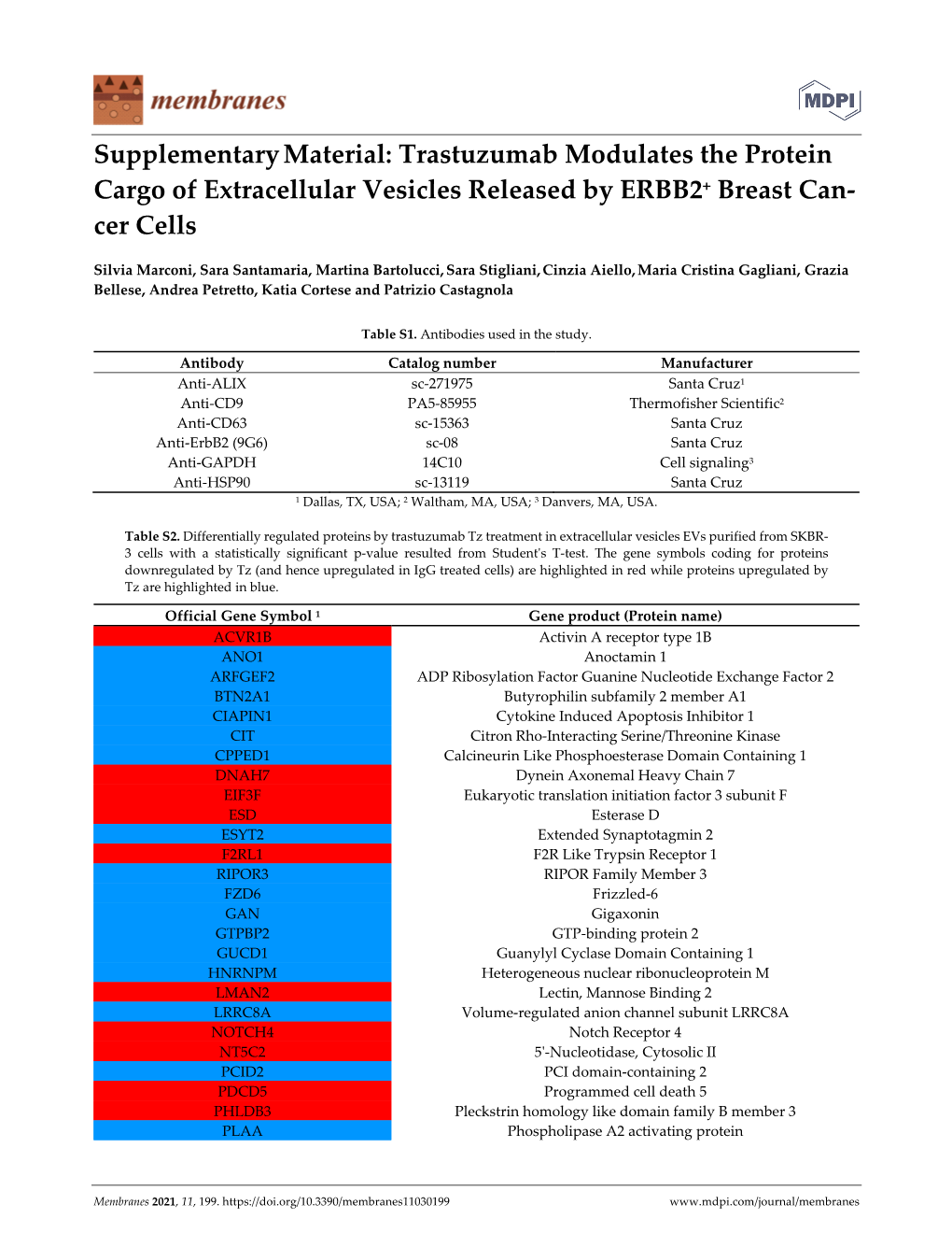 Trastuzumab Modulates the Protein Cargo of Extracellular Vesicles Released by ERBB2+ Breast Can‐ Cer Cells