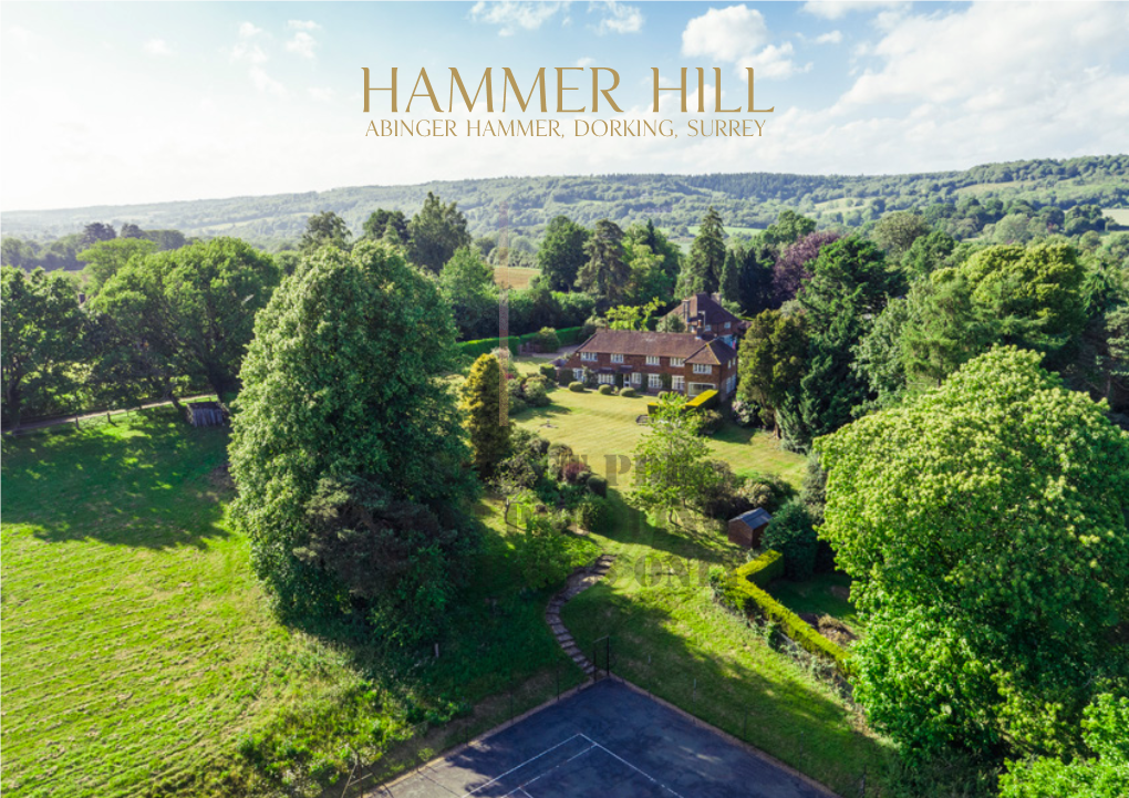 Hammer Hill Abinger Hammer, Dorking, Surrey