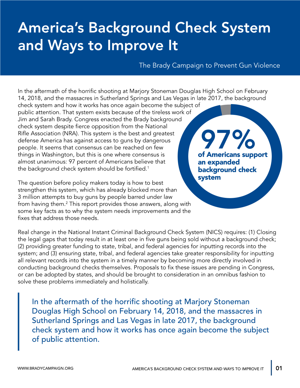 America's Background Check System and Ways to Improve It