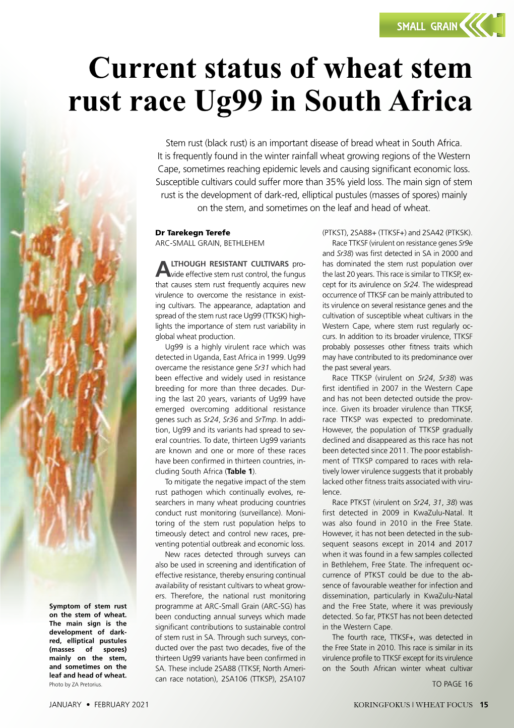Current Status of Wheat Stem Rust Race Ug99 in South Africa