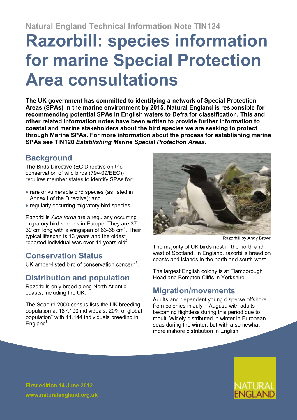 Razorbill: Species Information for Marine Special Protection Area Consultations