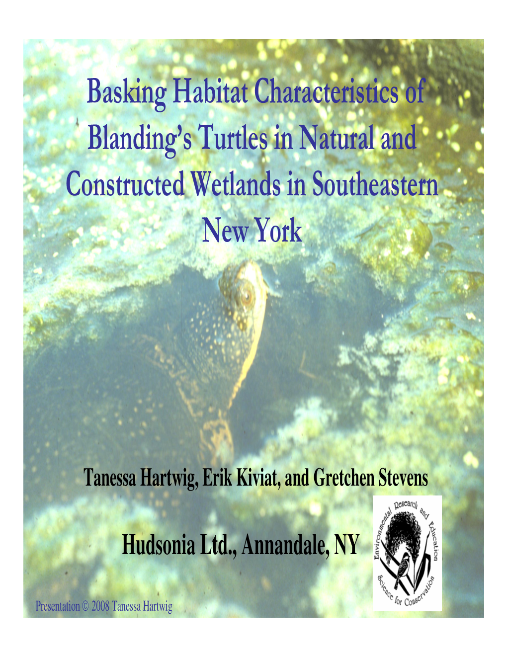 Basking Habitat Characteristics of Blanding's Turtles in Natural And