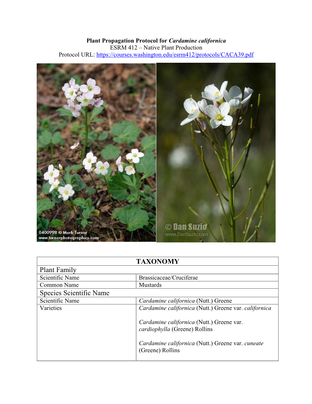 Draft Plant Propagation Protocol