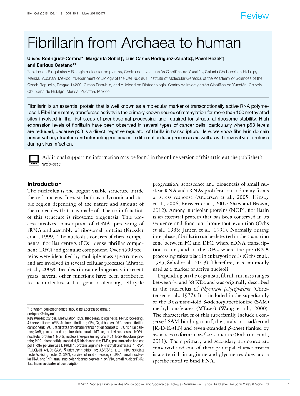 Fibrillarin from Archaea to Human