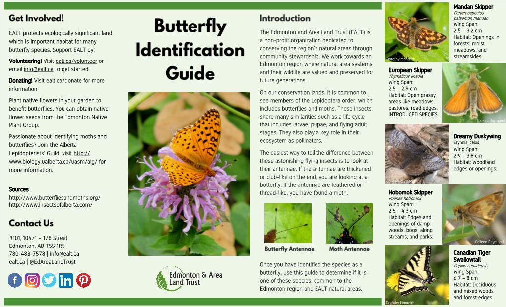 Butterfly ID Guide