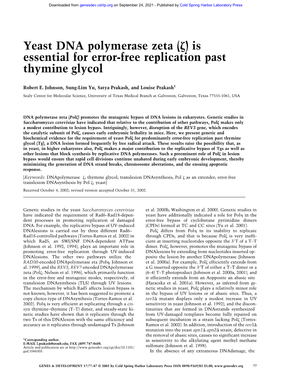 Yeast DNA Polymerase Zeta (␨)Is Essential for Error-Free Replication Past Thymine Glycol