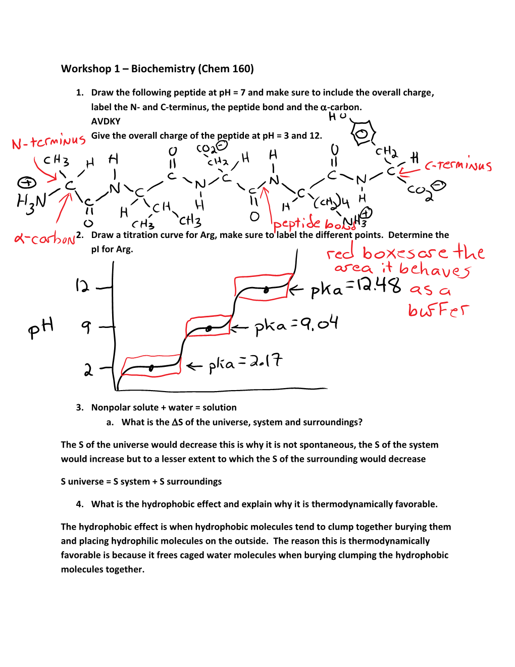 Workshop 1 – Biochemistry (Chem 160)