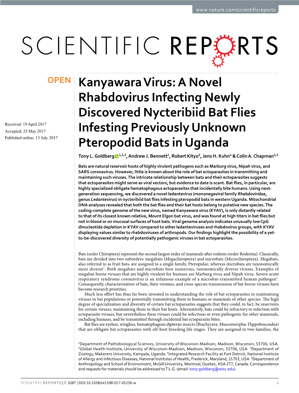 A Novel Rhabdovirus Infecting Newly Discovered Nycteribiid Bat Flies