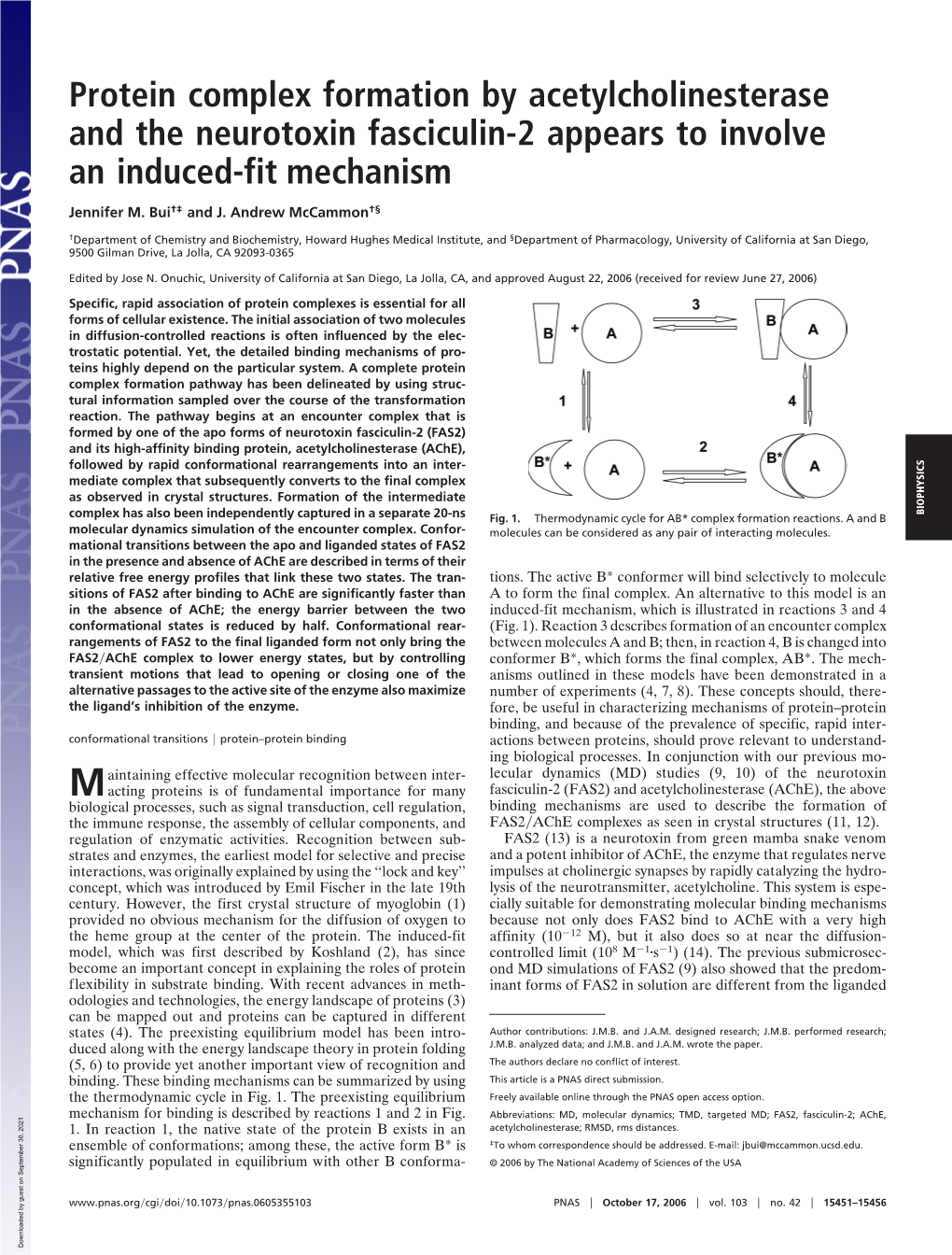 Protein Complex Formation by Acetylcholinesterase and the Neurotoxin Fasciculin-2 Appears to Involve an Induced-Fit Mechanism