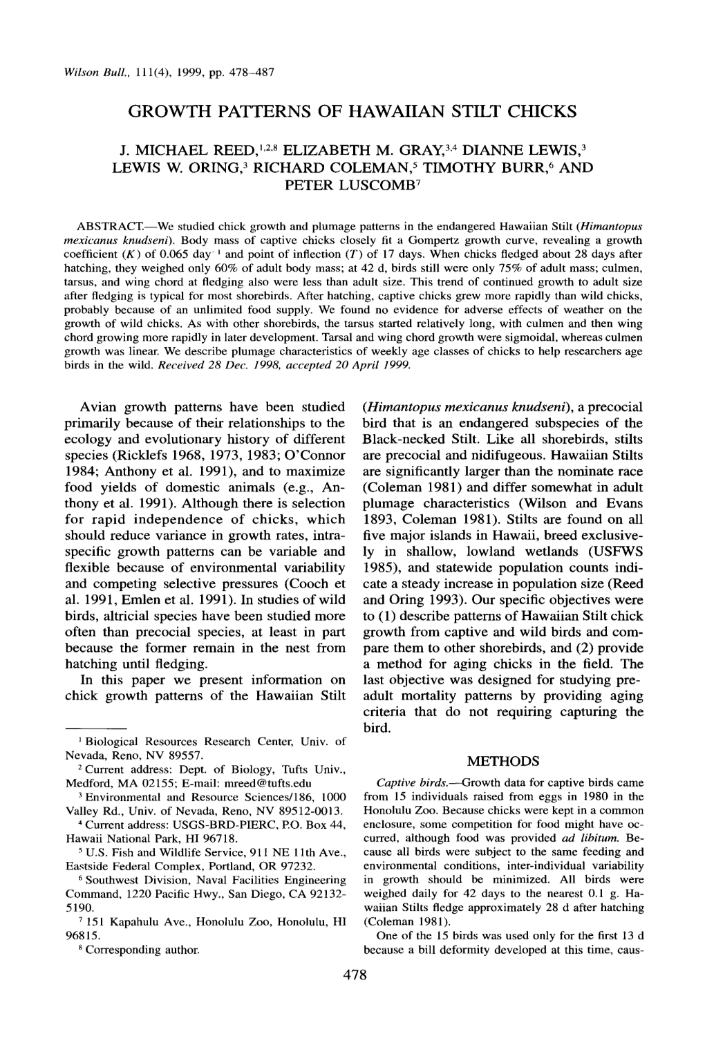 Growth Patterns of Hawaiian Stilt Chicks