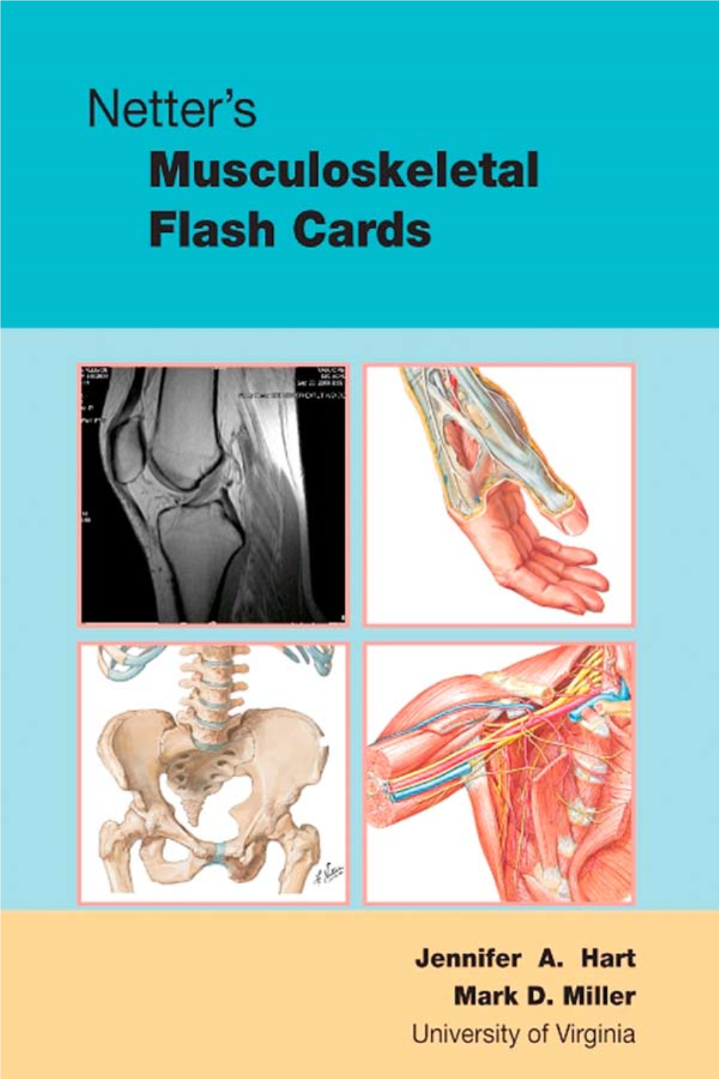 Netter's Musculoskeletal Flash Cards, 1E