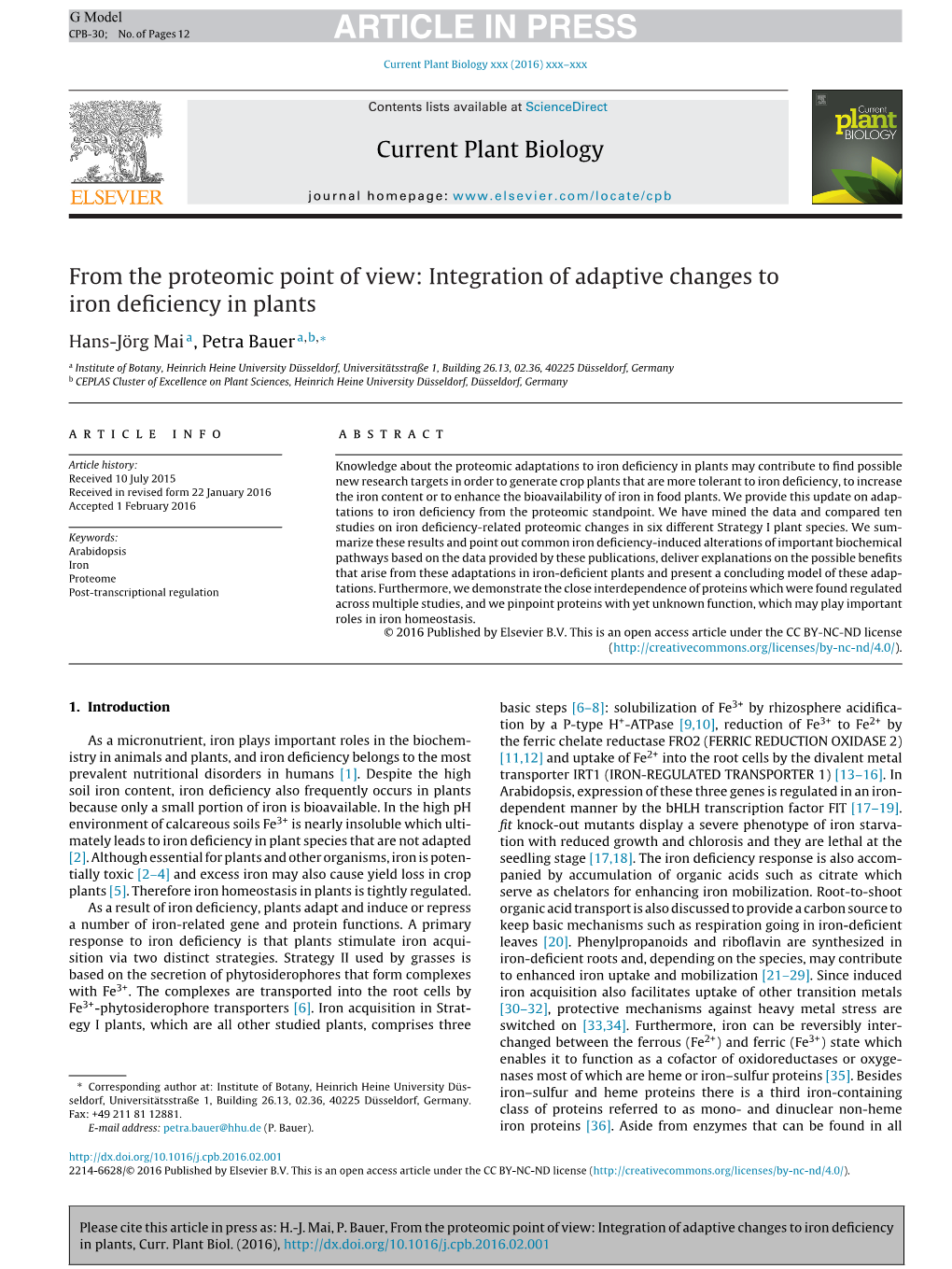 Integration of Adaptive Changes to Iron Deficiency in Plants