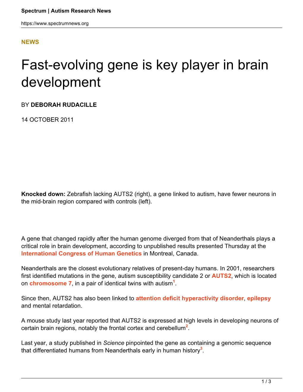 Fast-Evolving Gene Is Key Player in Brain Development