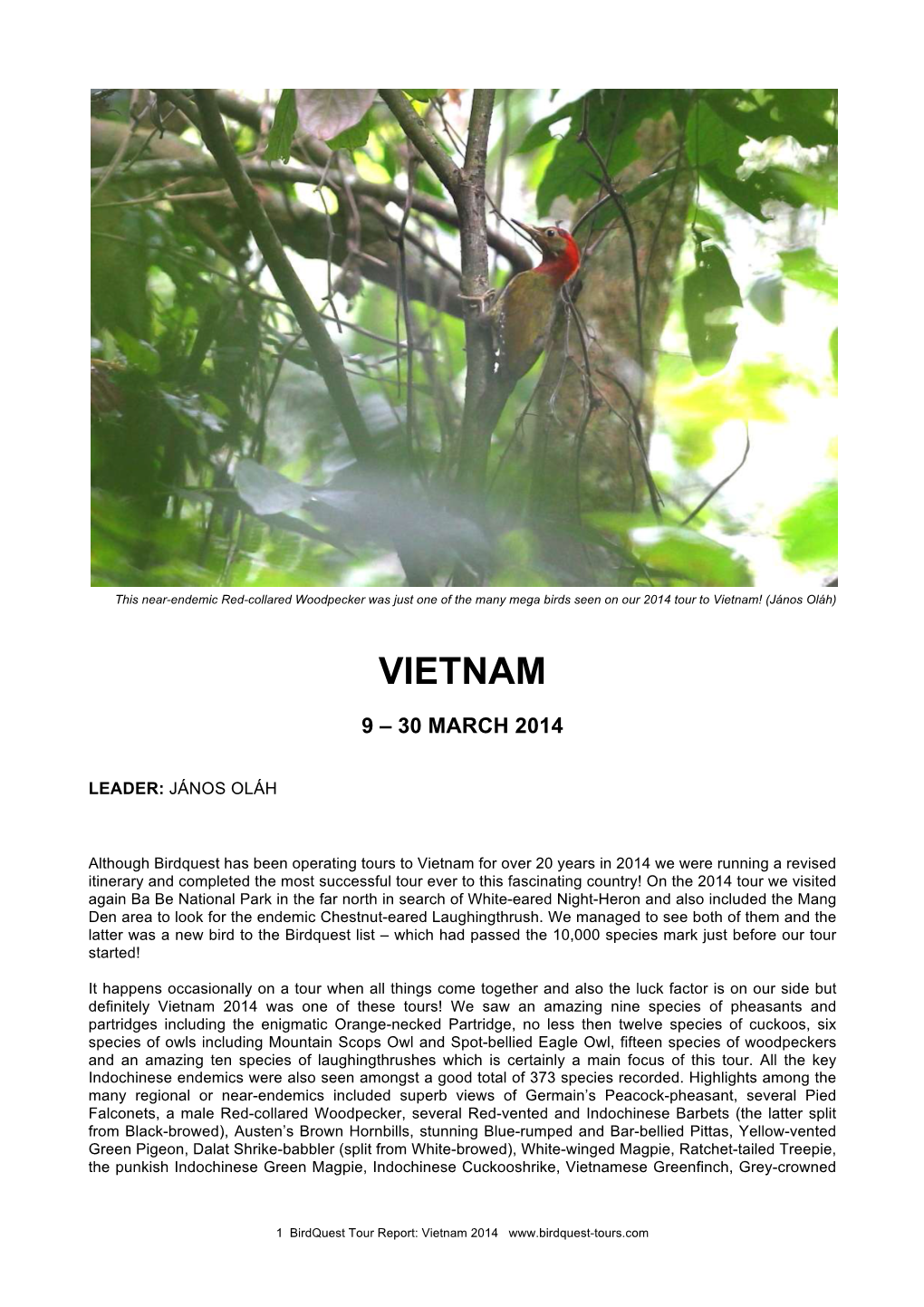 Vietnam Birding Trip Report