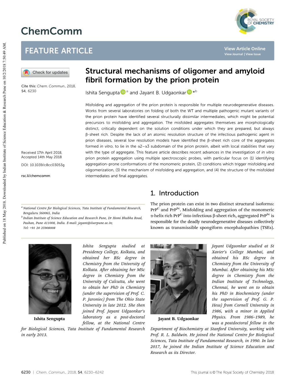 Structural Mechanisms of Oligomer and Amyloid Fibril Formation by the Prion Protein Cite This: Chem