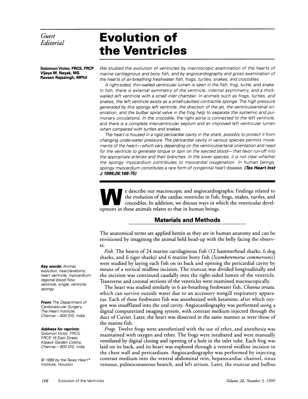 The Ventricles