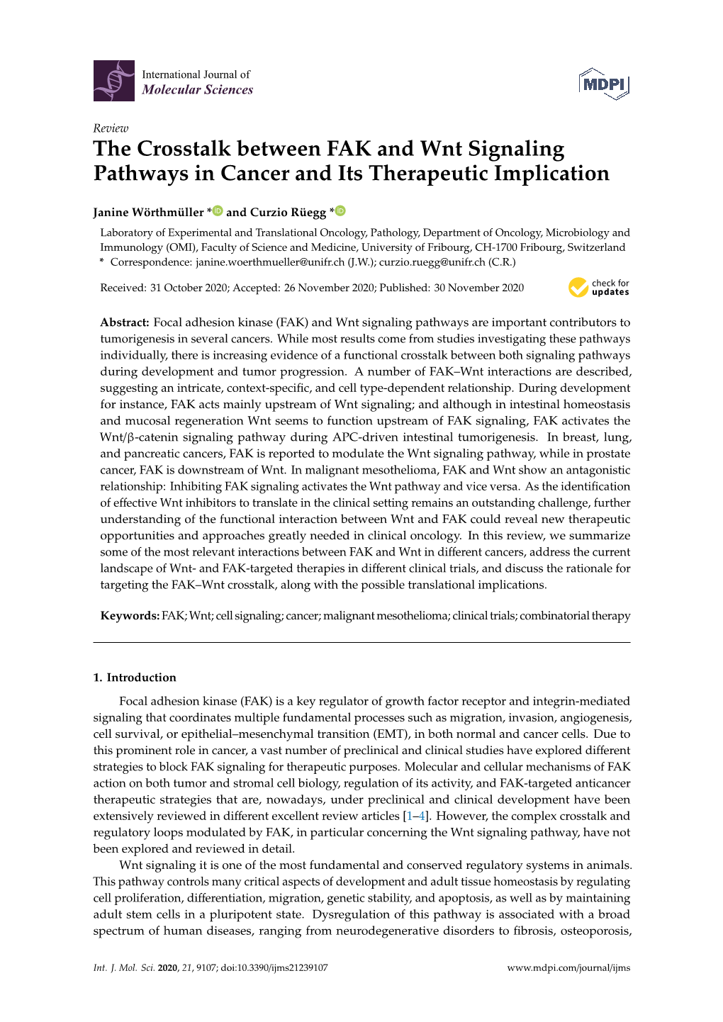 The Crosstalk Between FAK and Wnt Signaling Pathways in Cancer and Its Therapeutic Implication