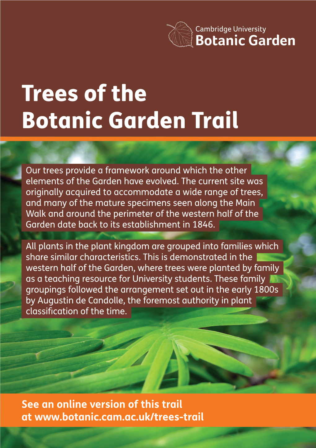 Trees of the Botanic Garden Trail