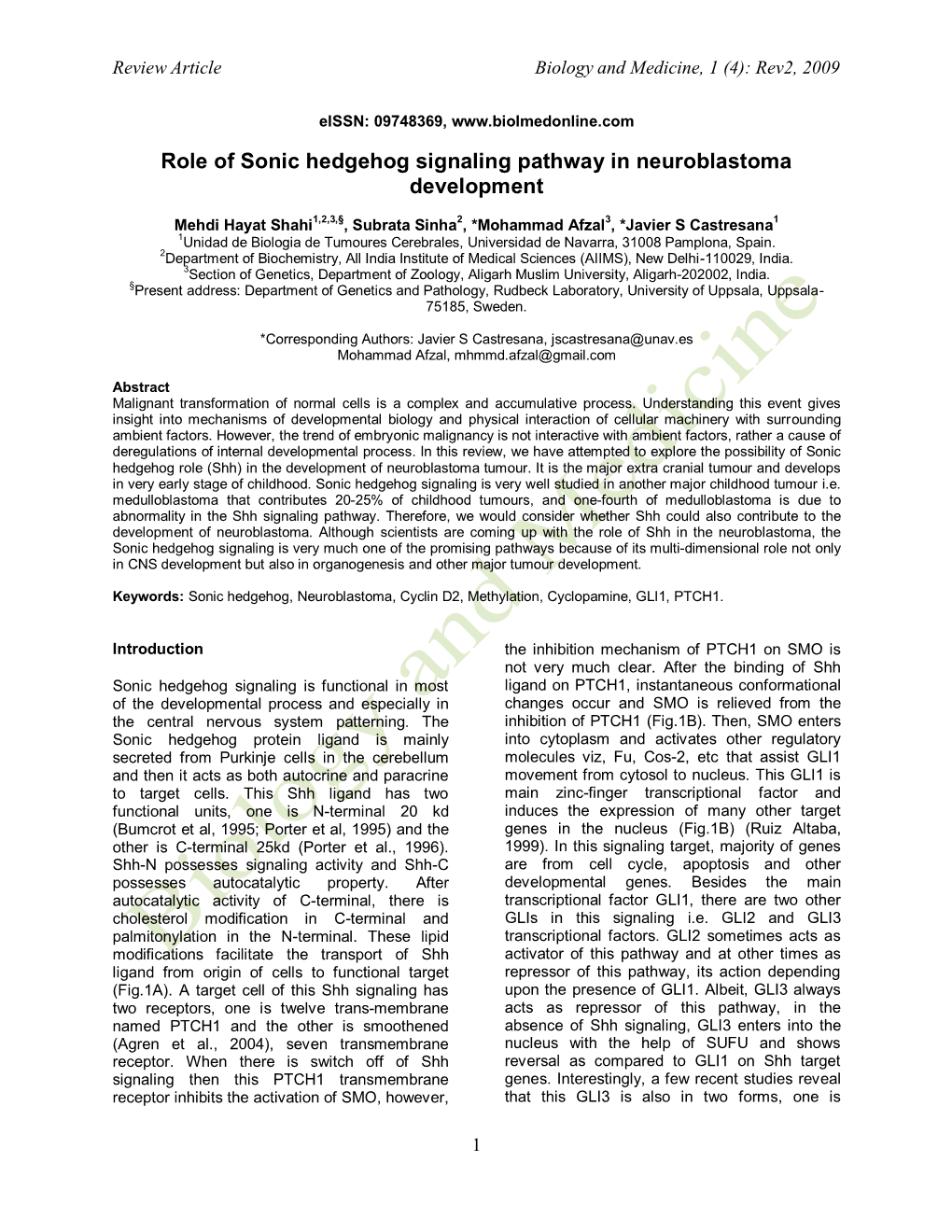 Role of Sonic Hedgehog Signaling Pathway in Neuroblastoma Development