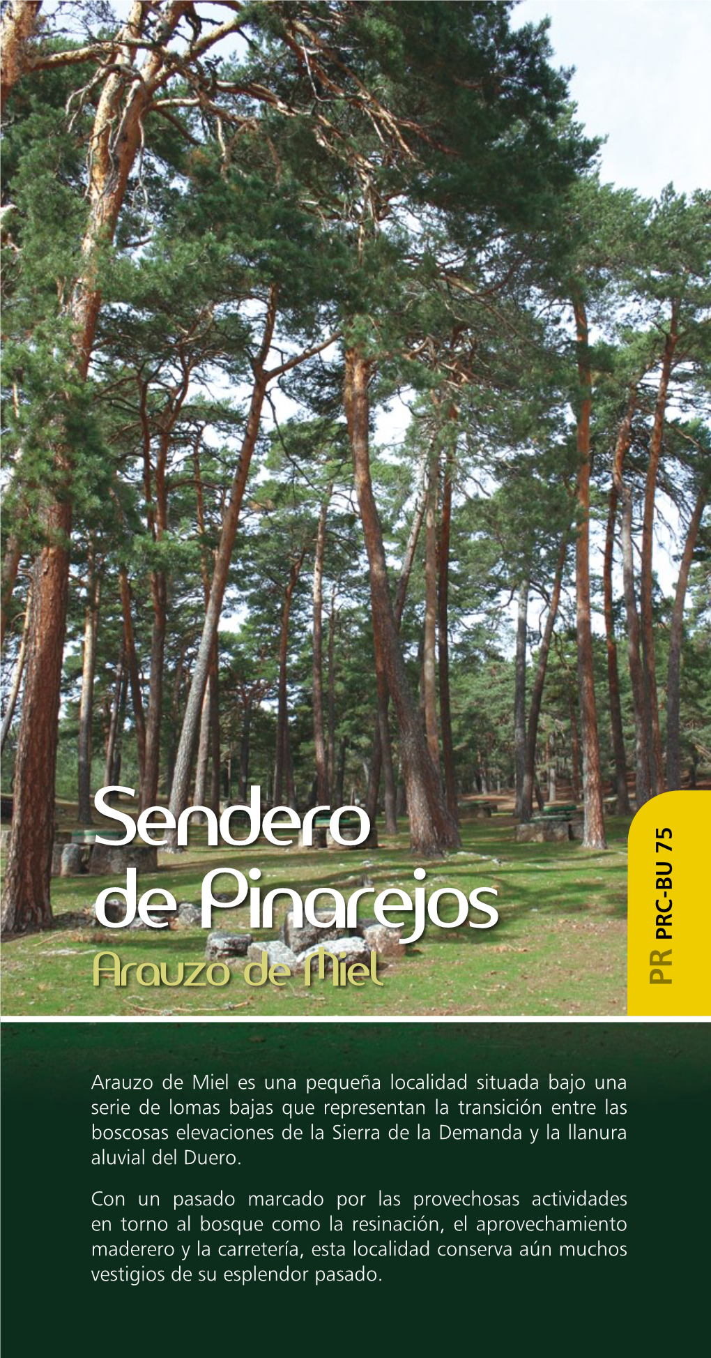 Sendero De Pinarejos