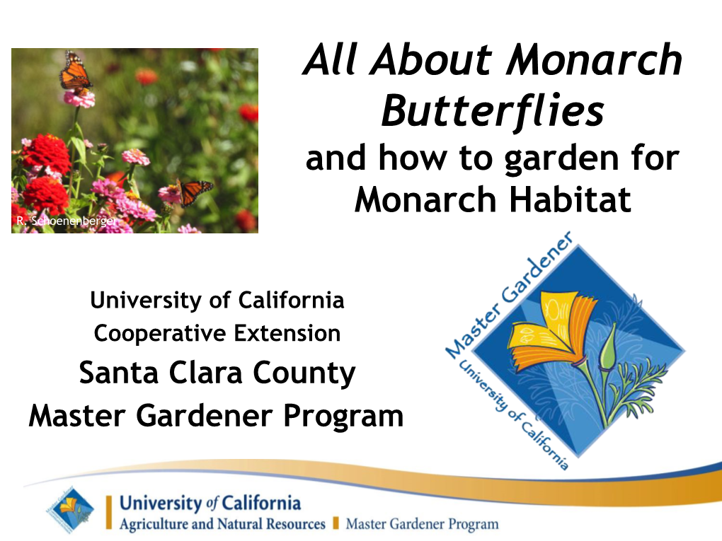 Monarchs • Life Cycle – Egg – Larvae (5 Instars) – Pupa – Adult • Migration • Habitat • Threats R