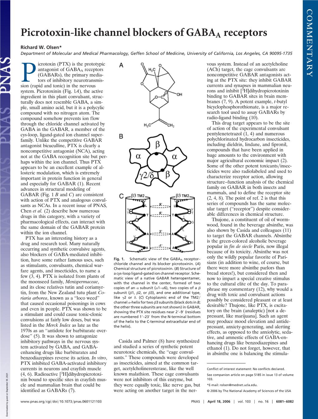 Picrotoxin-Like Channel Blockers of GABAA Receptors