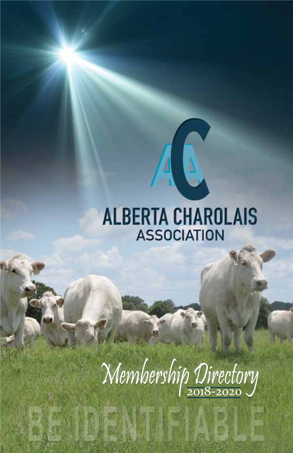 BE IDENTIFIABLE 1 Circlededicated to Raising Quality Charolais CEE Cattle Since