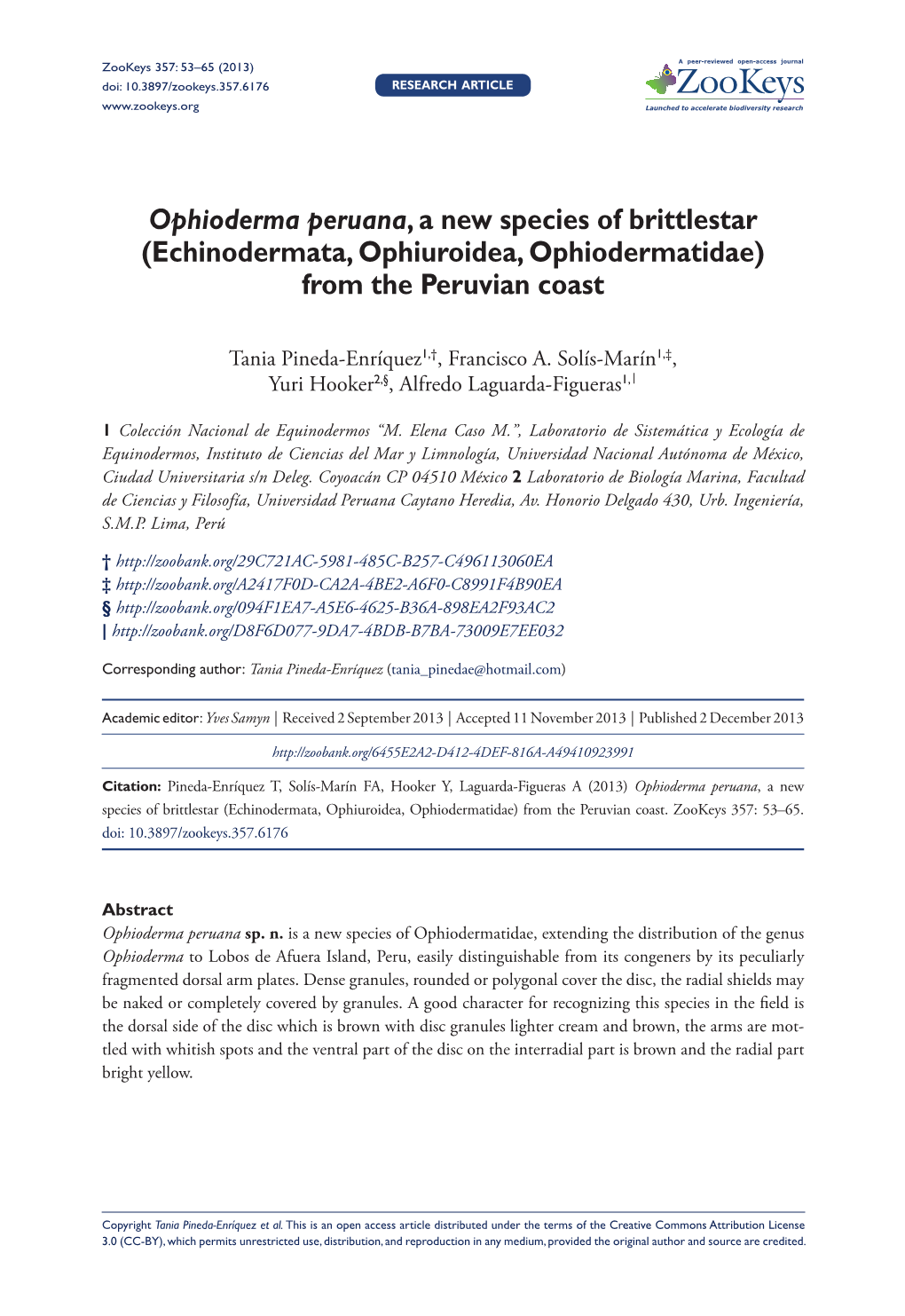 Ophioderma Peruana, a New Species of Brittlestar