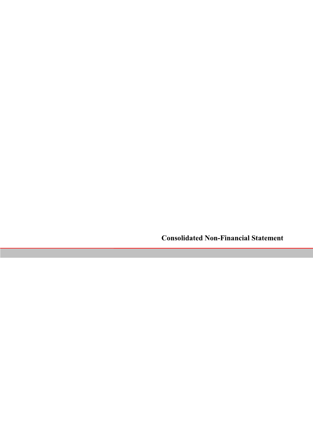 Consolidated Non-Financial Statement