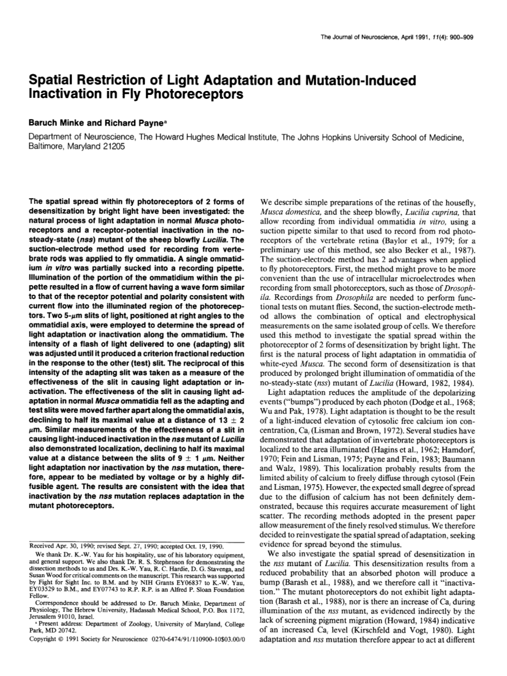 Spatial Restriction of Light Adaptation Inactivation in Fly Photoreceptors and Mutation-Induced