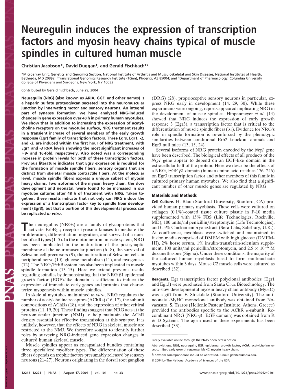 Neuregulin Induces the Expression of Transcription Factors and Myosin Heavy Chains Typical of Muscle Spindles in Cultured Human Muscle