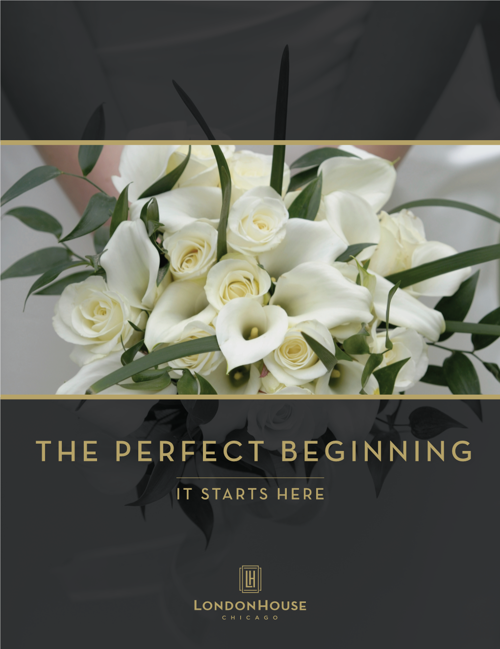The Perfect Beginning