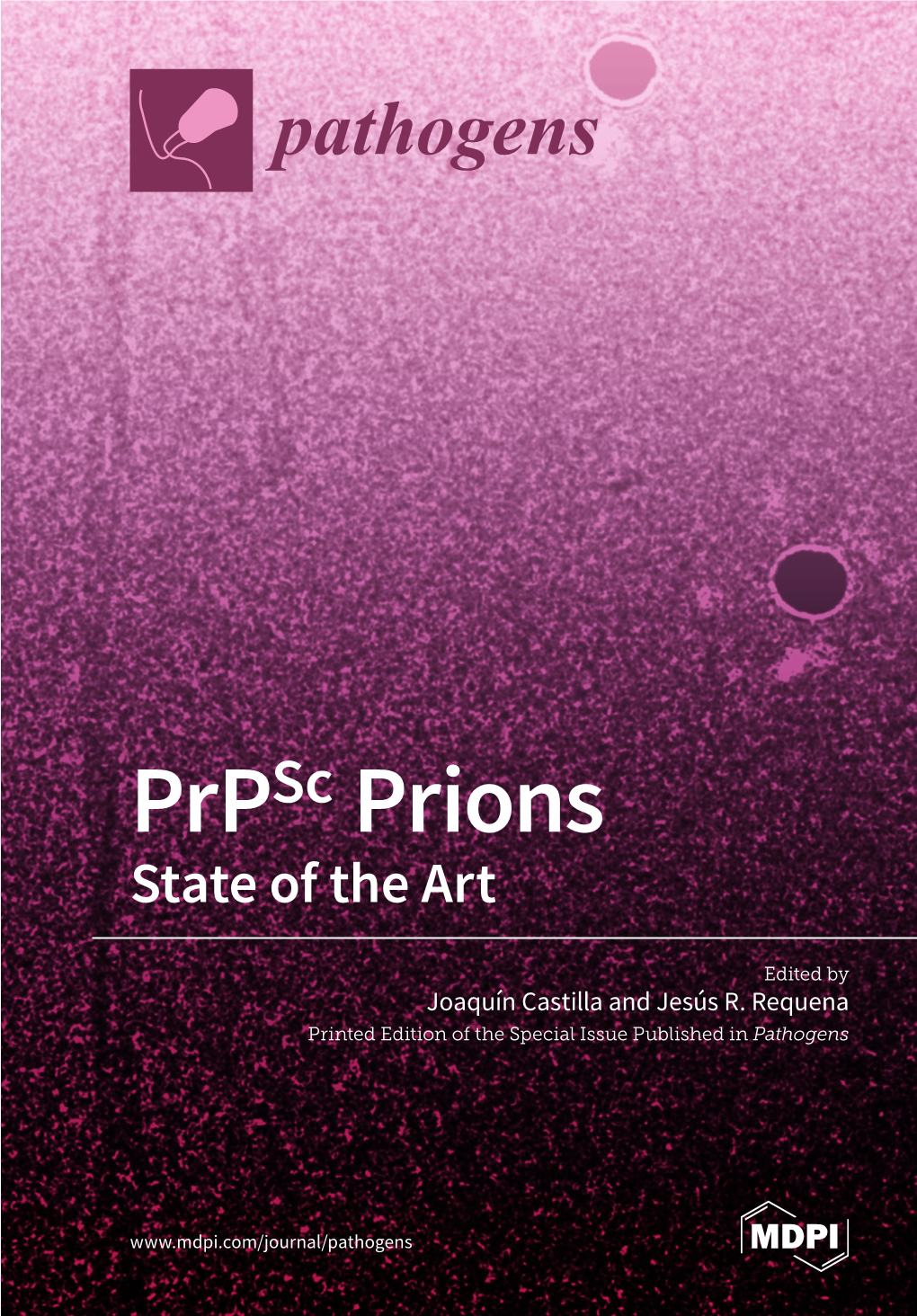 Prpsc Prions State of the Art