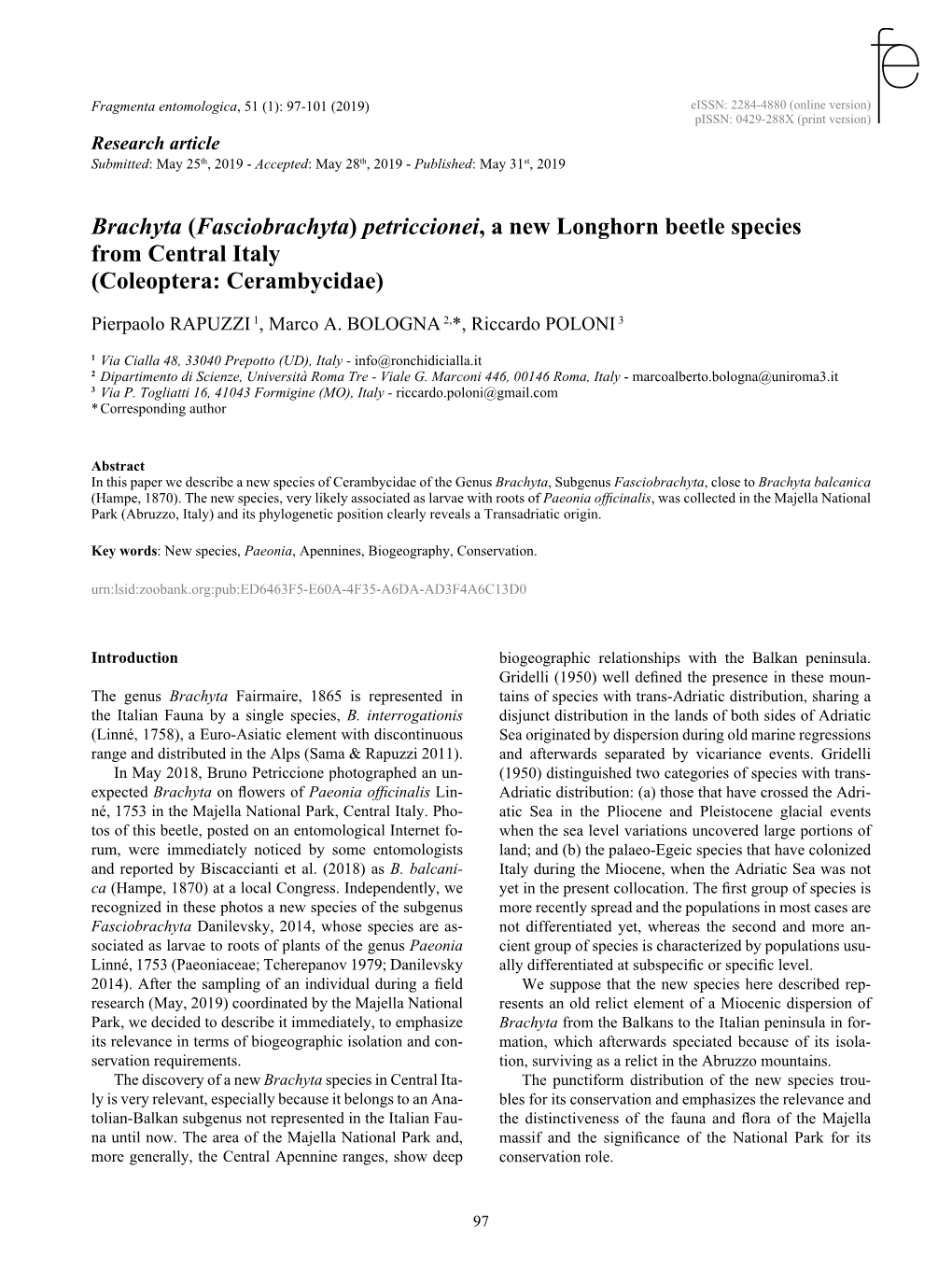 Brachyta (Fasciobrachyta) Petriccionei, a New Longhorn Beetle Species from Central Italy (Coleoptera: Cerambycidae)