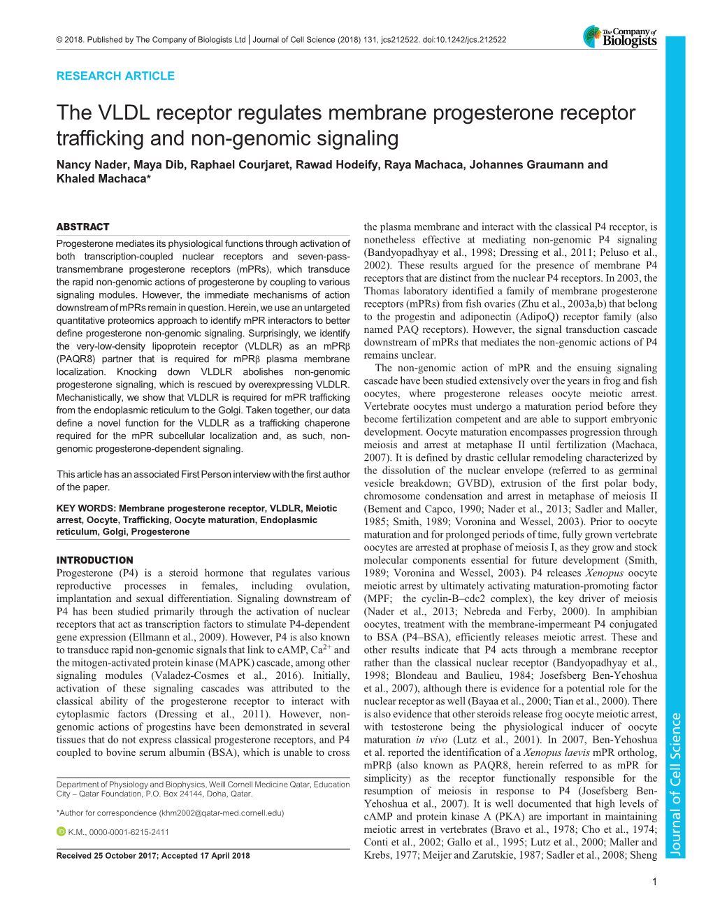 The VLDL Receptor Regulates Membrane Progesterone Receptor