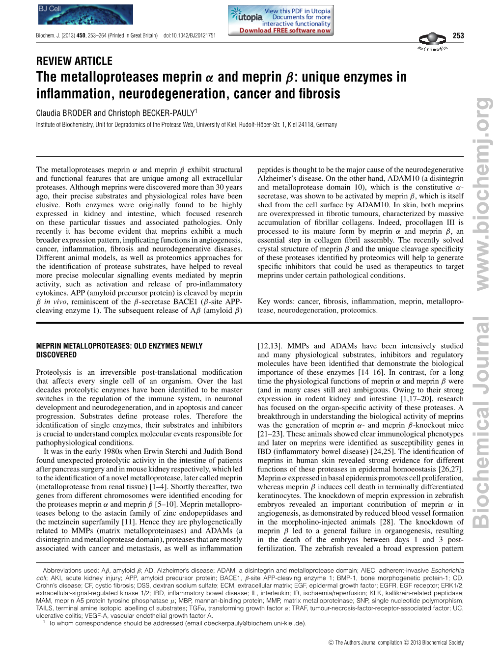 The Metalloproteases Meprin Α and Meprin Β: Unique Enzymes In